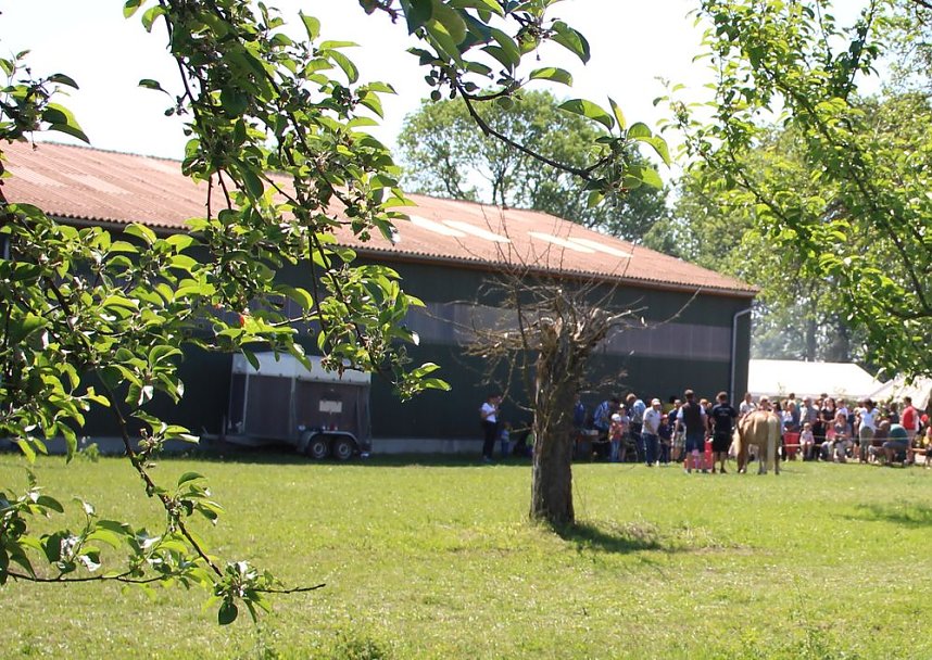 Massenansturm beim Hoffest in Greu&szlig;en
