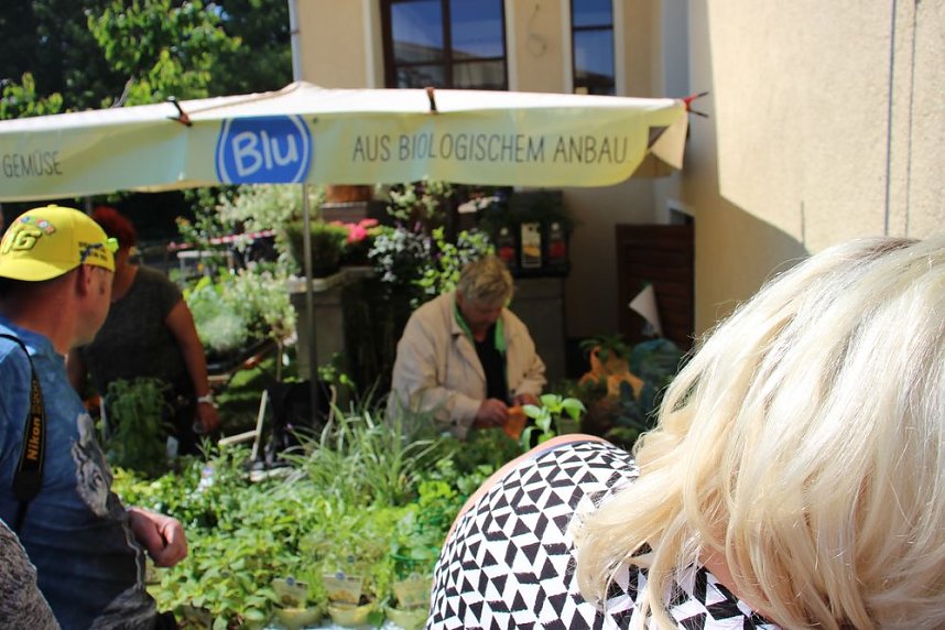 Massenansturm beim Hoffest in Greu&szlig;en