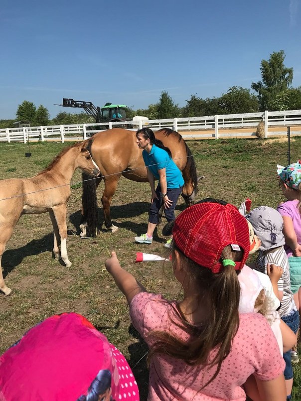 Bienenschwarm in Esperstedt