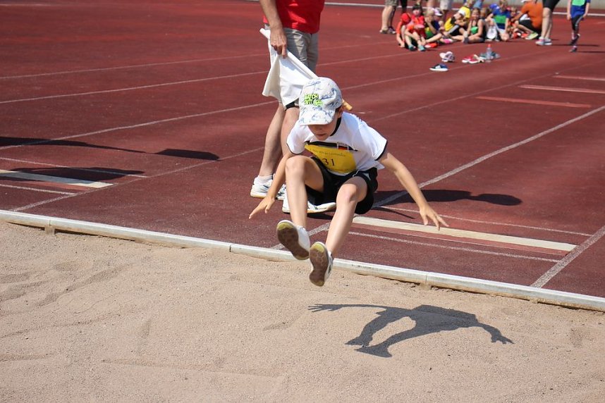 Mini-WM der Leichtathletik