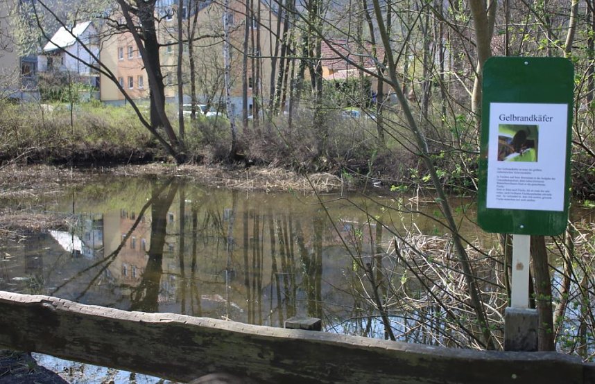 GS Franzbergschule ist Umweltschule in Europa