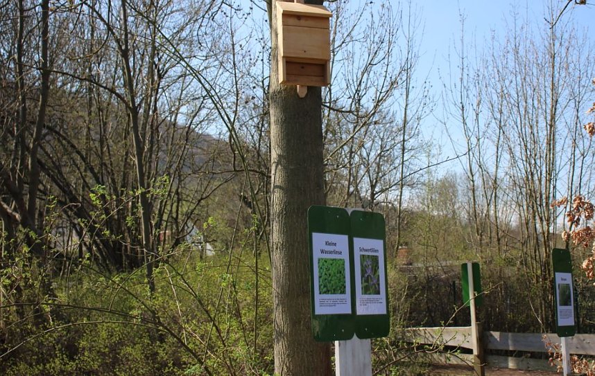 GS Franzbergschule ist Umweltschule in Europa