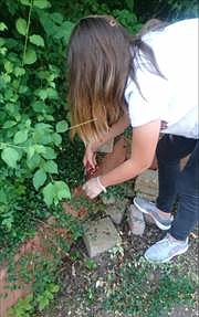 Wieder aktiv � die neuen flei&szlig;igen Helfer im Kyffh&auml;userkreis