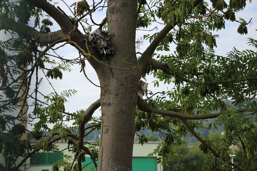 Ausbildungstag Jugendfeuerwehr