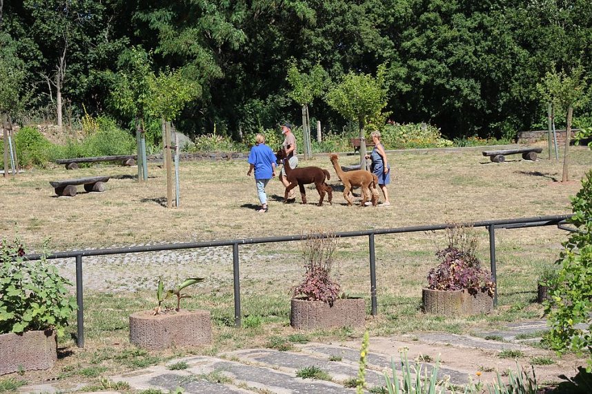 Europacup im Bosseln