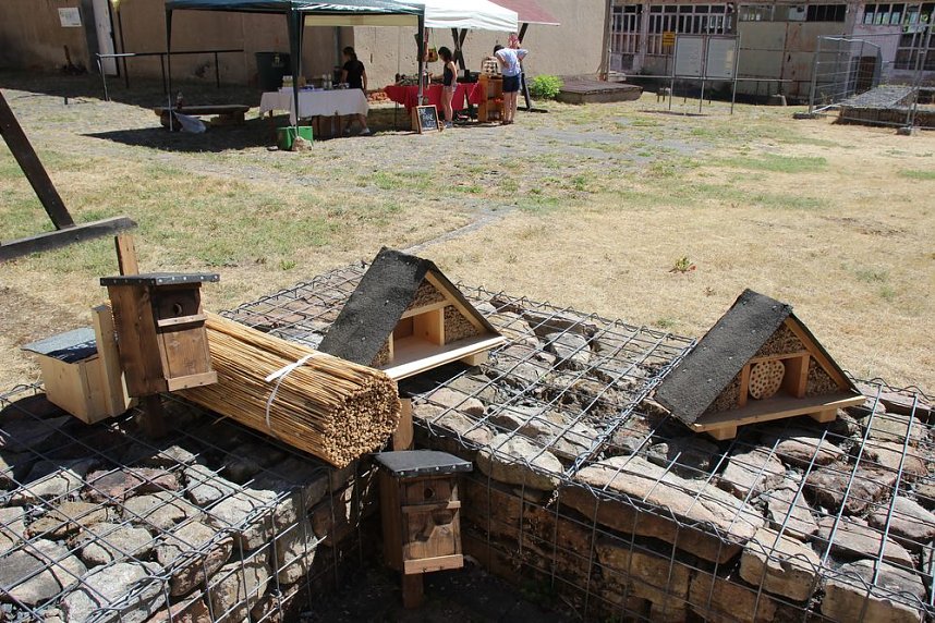 Europacup im Bosseln