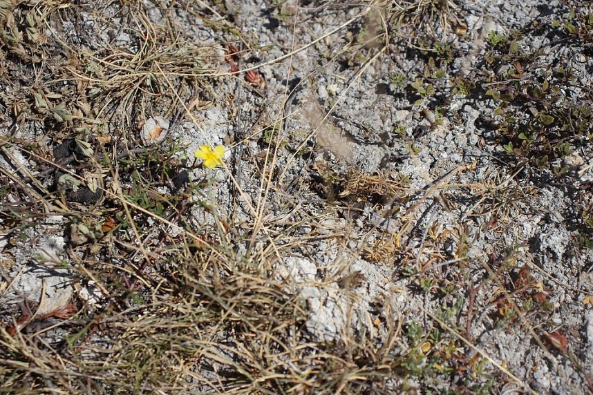Das wird ein sch&ouml;ner Osterspaziergang 2019