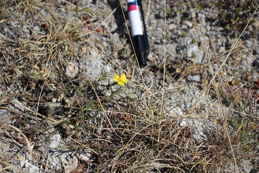 Das wird ein sch&ouml;ner Osterspaziergang 2019