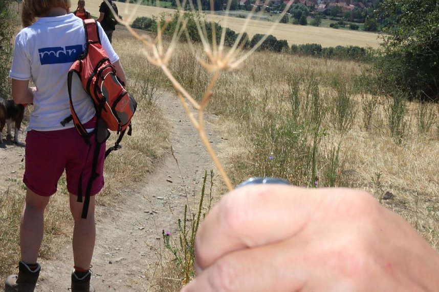 Das wird ein sch&ouml;ner Osterspaziergang 2019