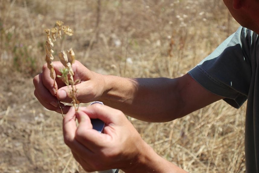 Das wird ein sch&ouml;ner Osterspaziergang 2019