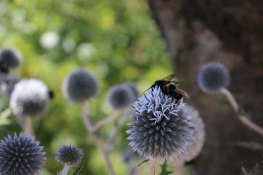 Das wird ein sch&ouml;ner Osterspaziergang 2019
