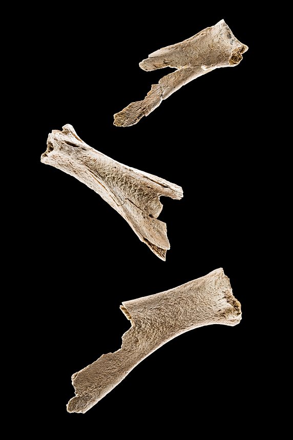 Bewegte Zeiten. Arch&auml;ologie in Deutschland