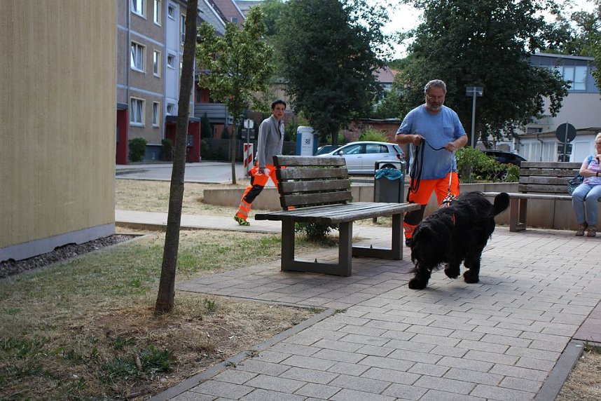 Rettungshunde in Sondershausen unterwegs