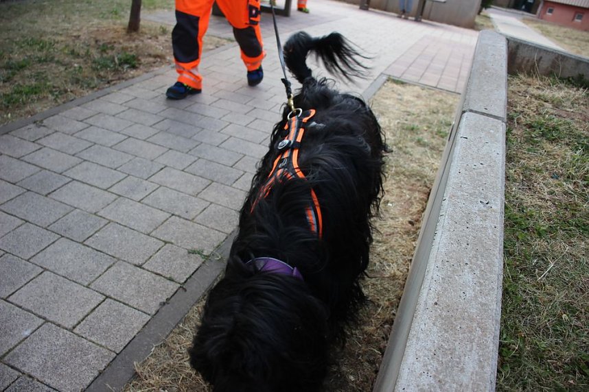 Rettungshunde in Sondershausen unterwegs