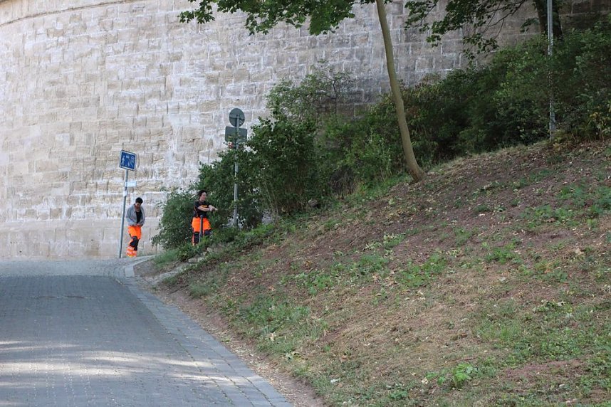 Rettungshunde in Sondershausen unterwegs