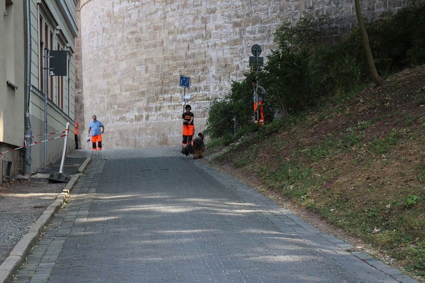 Rettungshunde in Sondershausen unterwegs