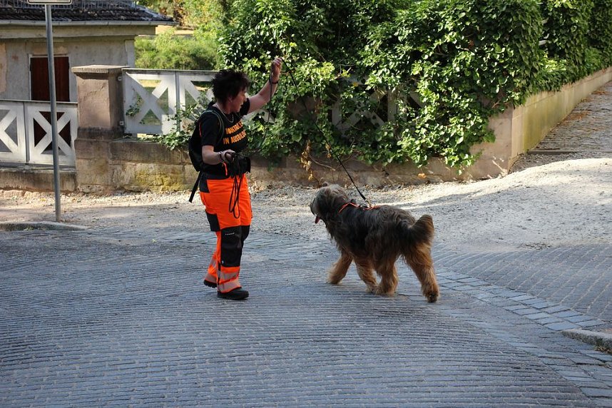 Rettungshunde in Sondershausen unterwegs