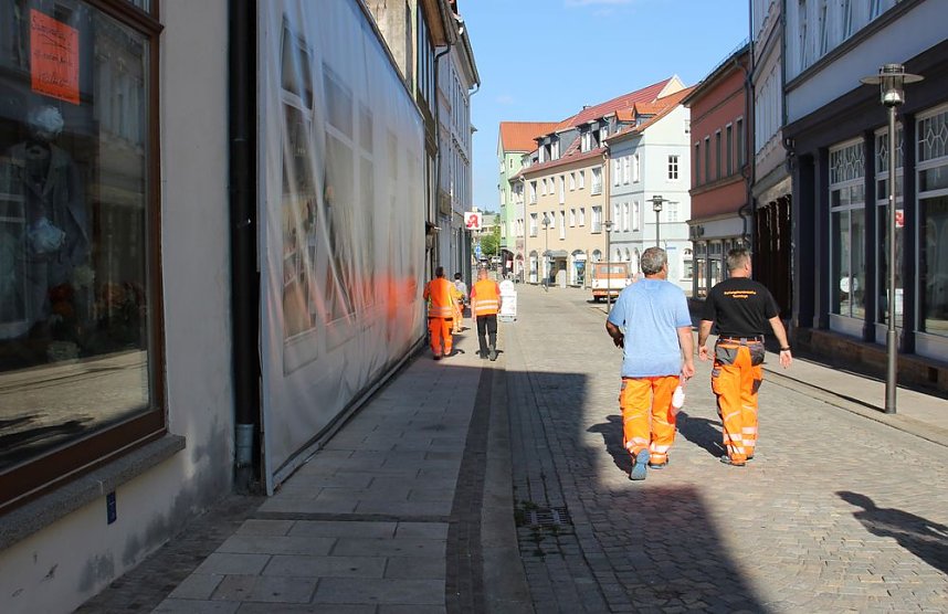 Rettungshunde in Sondershausen unterwegs