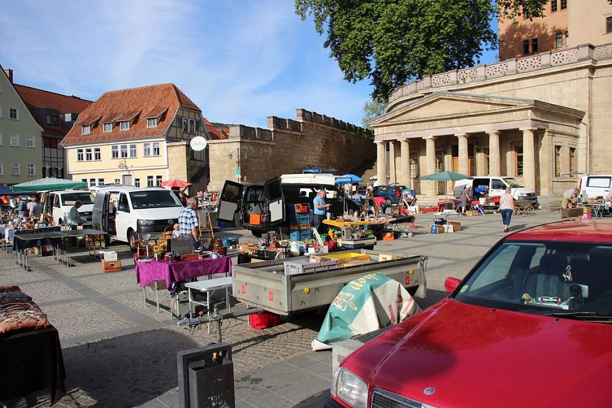 Fr&uuml;her Vogel macht das Schn&auml;ppchen
