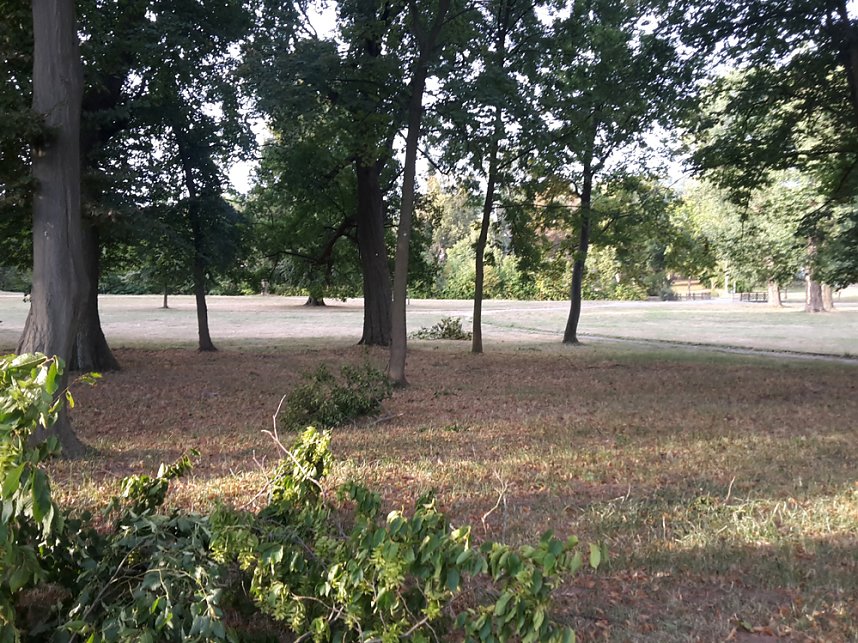 Schlosspark zerzaust