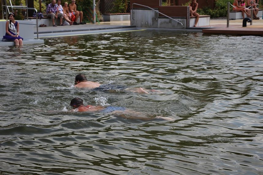 Erste Weltmeister im Brustr&uuml;ckw&auml;rtsschwimmen