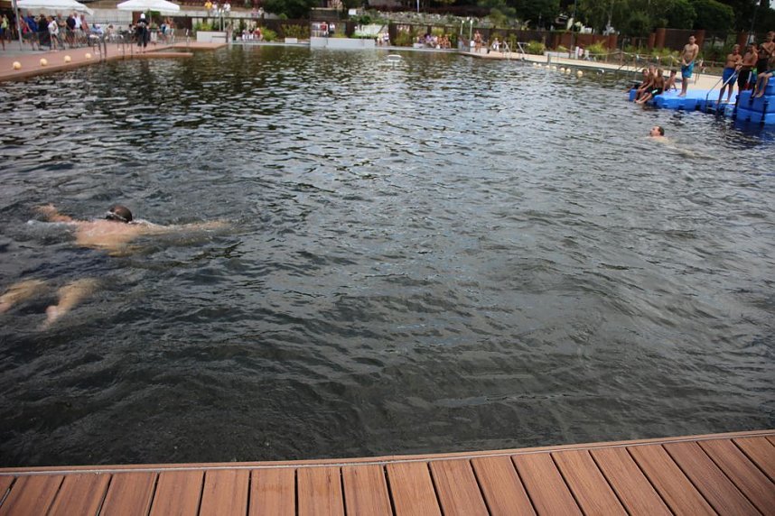 Erste Weltmeister im Brustr&uuml;ckw&auml;rtsschwimmen