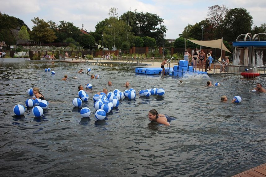 Erste Weltmeister im Brustr&uuml;ckw&auml;rtsschwimmen