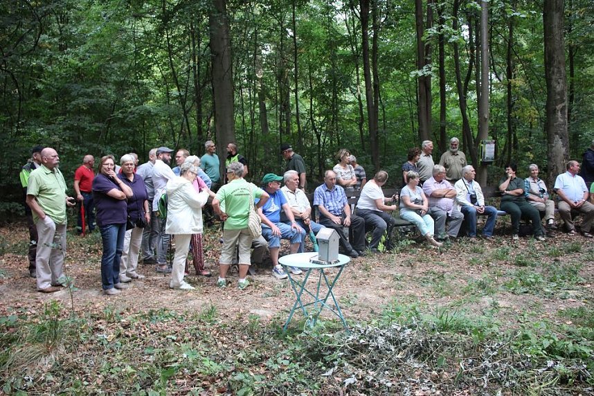 Haben wir bald ein Blutbuchenk&ouml;nigin?