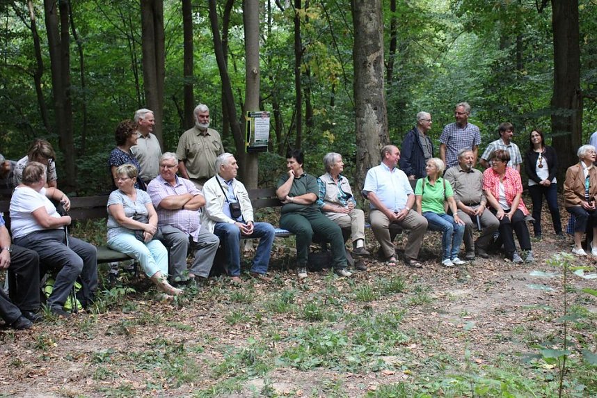 Haben wir bald ein Blutbuchenk&ouml;nigin?