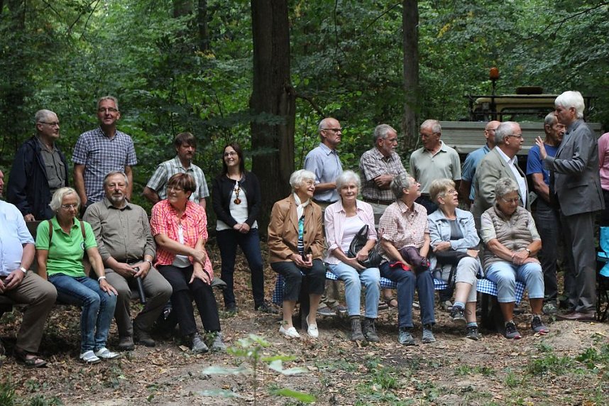 Haben wir bald ein Blutbuchenk&ouml;nigin?