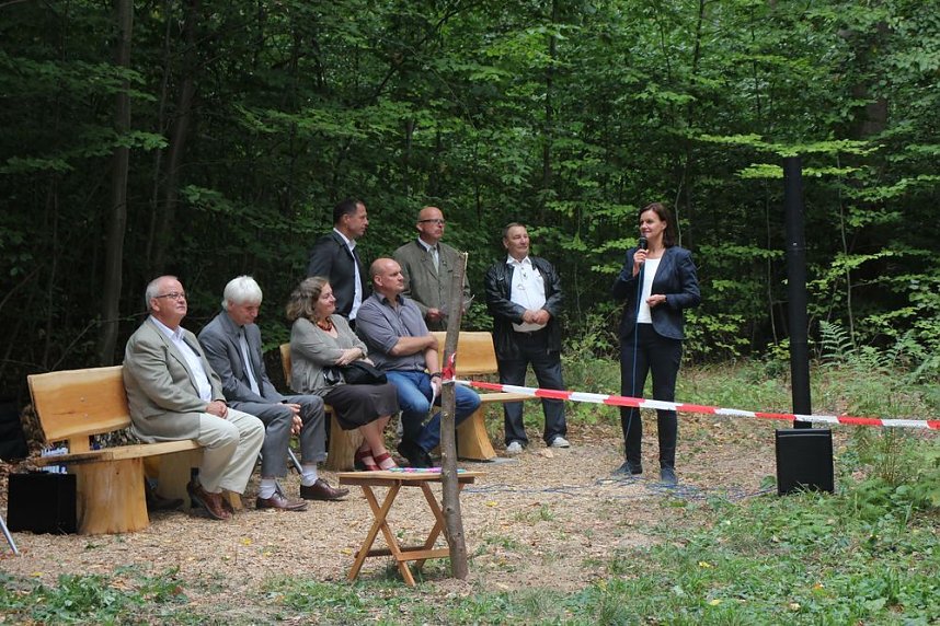 Haben wir bald ein Blutbuchenk&ouml;nigin?