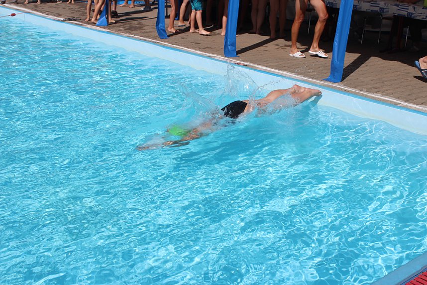 Schwimmhatz hat begonnen