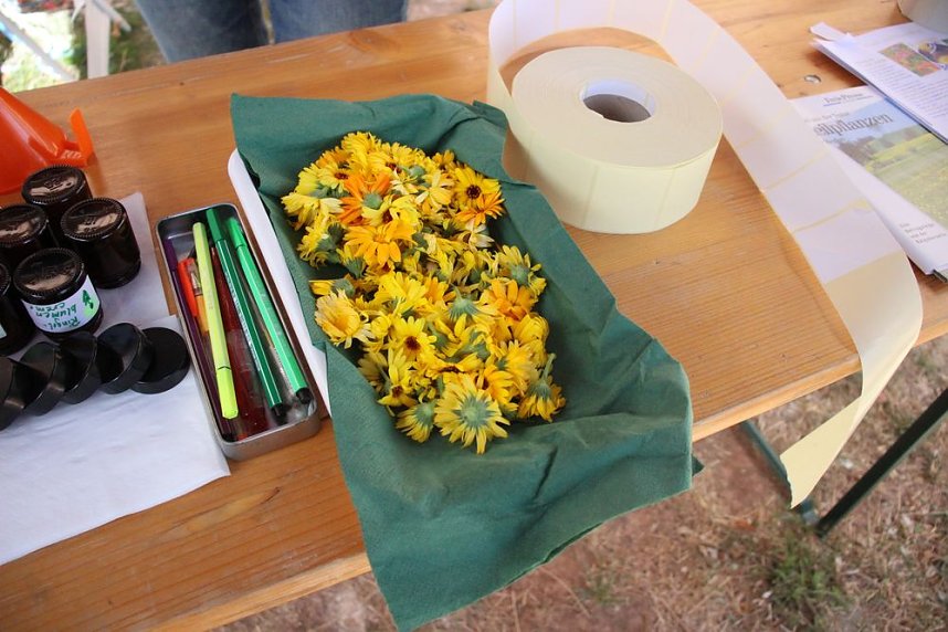 Sommerfest D&uuml;ne