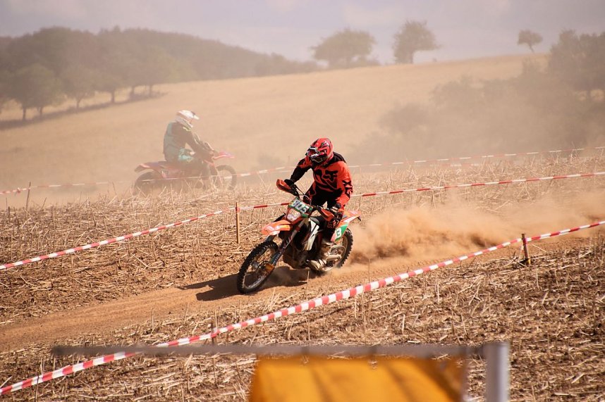 Fliegende Maschinen am Weinberg