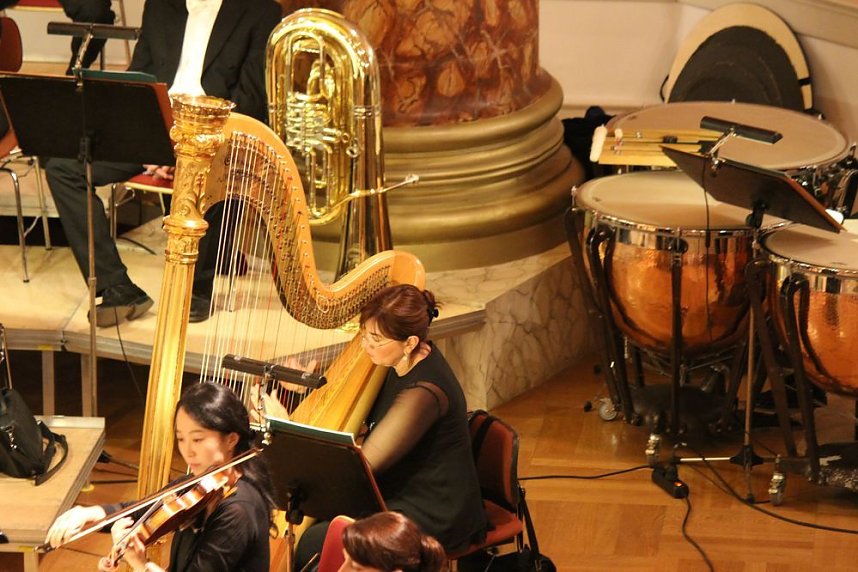 Auch Nachwuchs begeisterte