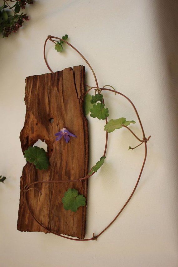 Sommerfest im Wohngebiet