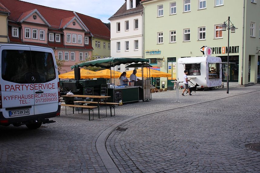 Pflanzen &uuml;ber Pflanzen