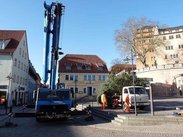 Weihnachtsbaum Sondershausen