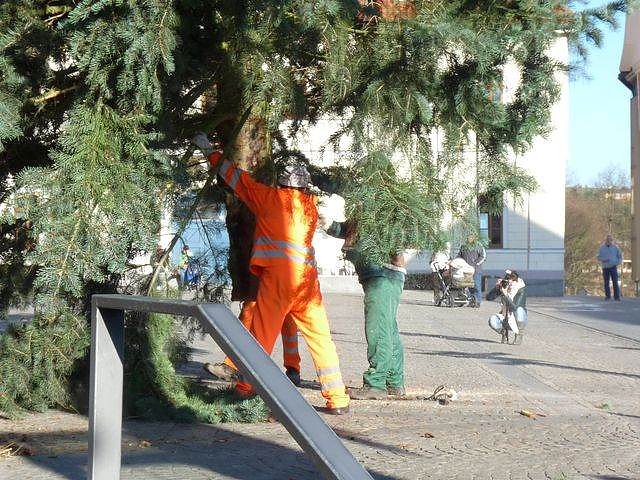 Weihnachtsbaum Sondershausen