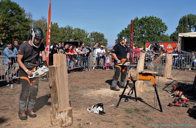 Emmenrausch am Stausee Kelbra
