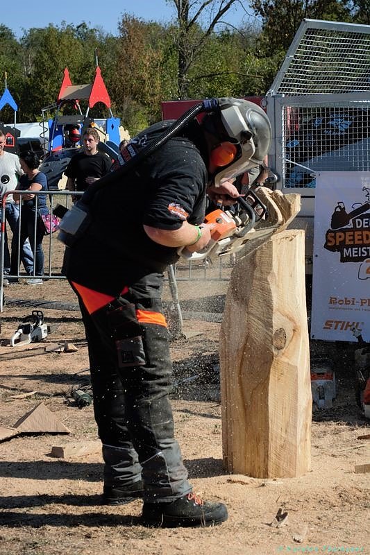 Emmenrausch am Stausee Kelbra