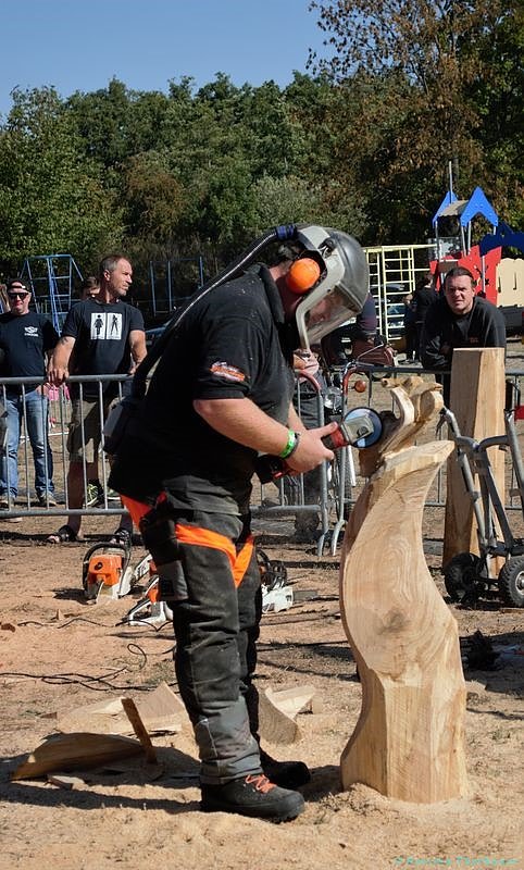 Emmenrausch am Stausee Kelbra