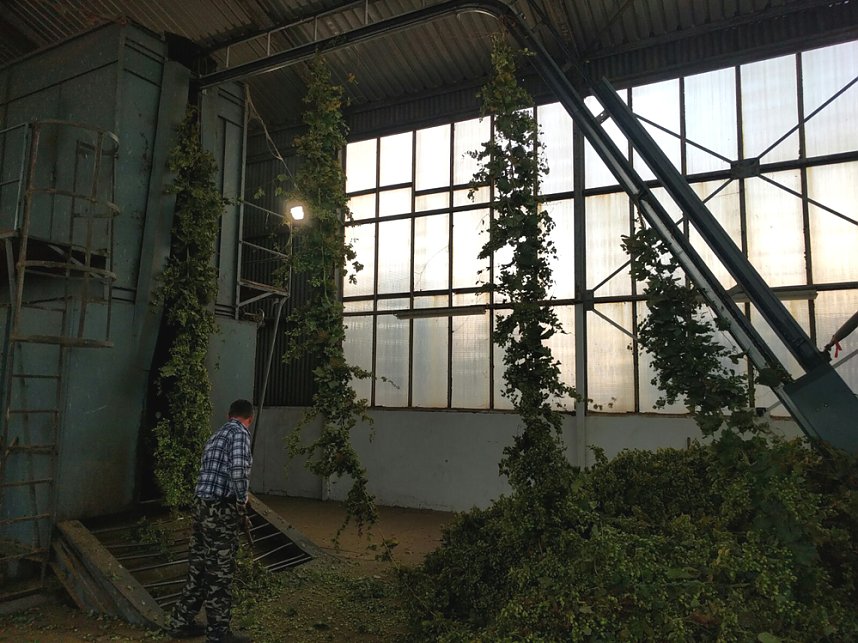 Interessante Reise zur Grundlage unseres Bieres