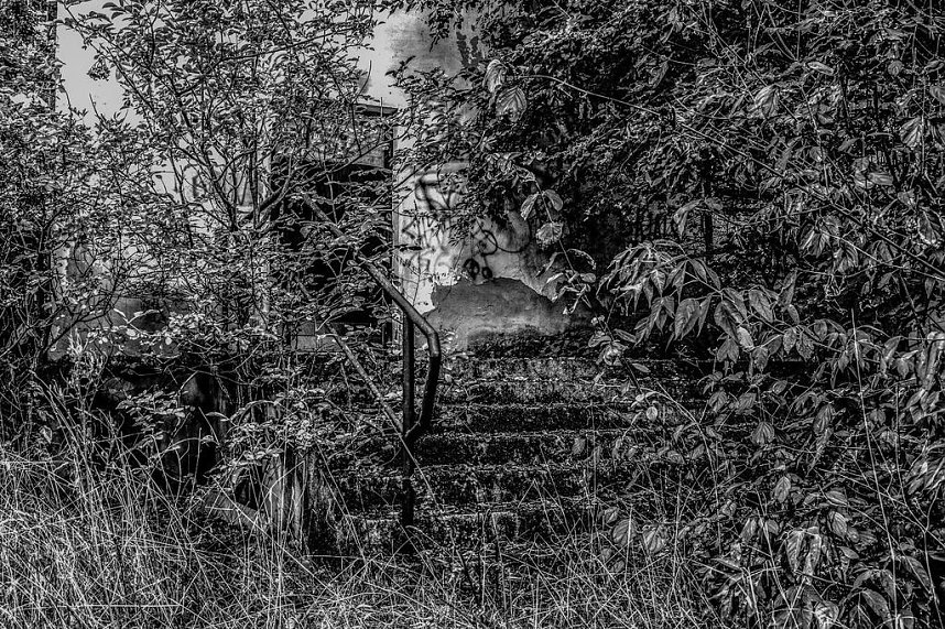 Lost Places im Fokus