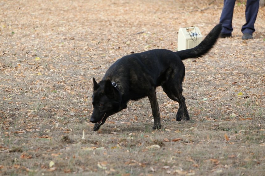 Tag der offenen T&uuml;r bei der Landespolizeiinspektion NOrdhausen