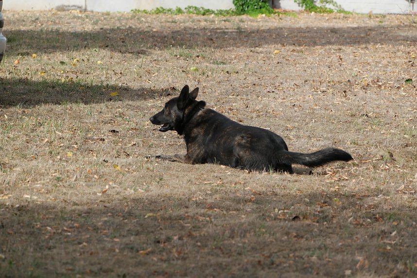 Tag der offenen T&uuml;r bei der Landespolizeiinspektion NOrdhausen