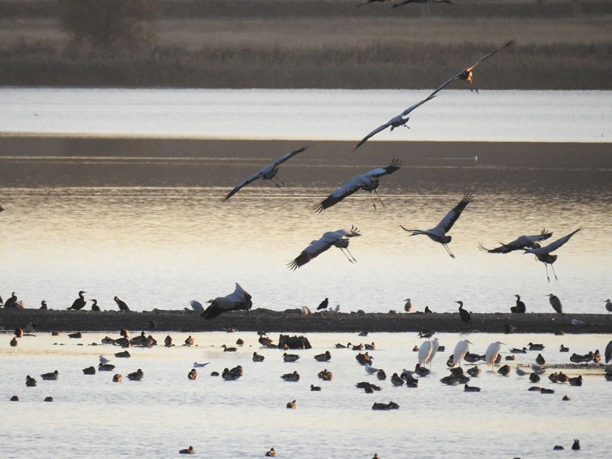 Die Vorboten flogen an