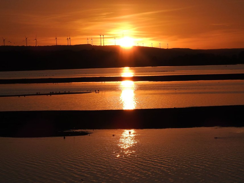 Die Vorboten flogen an