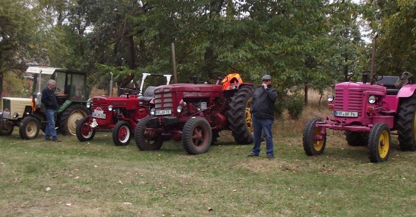 15 Jahre Kartoffelmarkt in Rockensu&szlig;ra