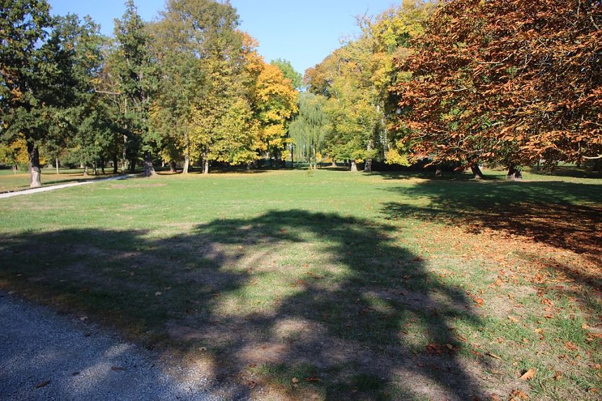 Wie weiter mit dem Schlosspark Sondershausen?